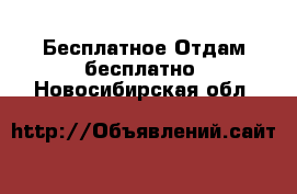 Бесплатное Отдам бесплатно. Новосибирская обл.